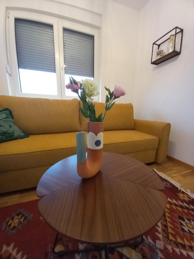דירות נובי סאד Avenija Oaza מראה חיצוני תמונה